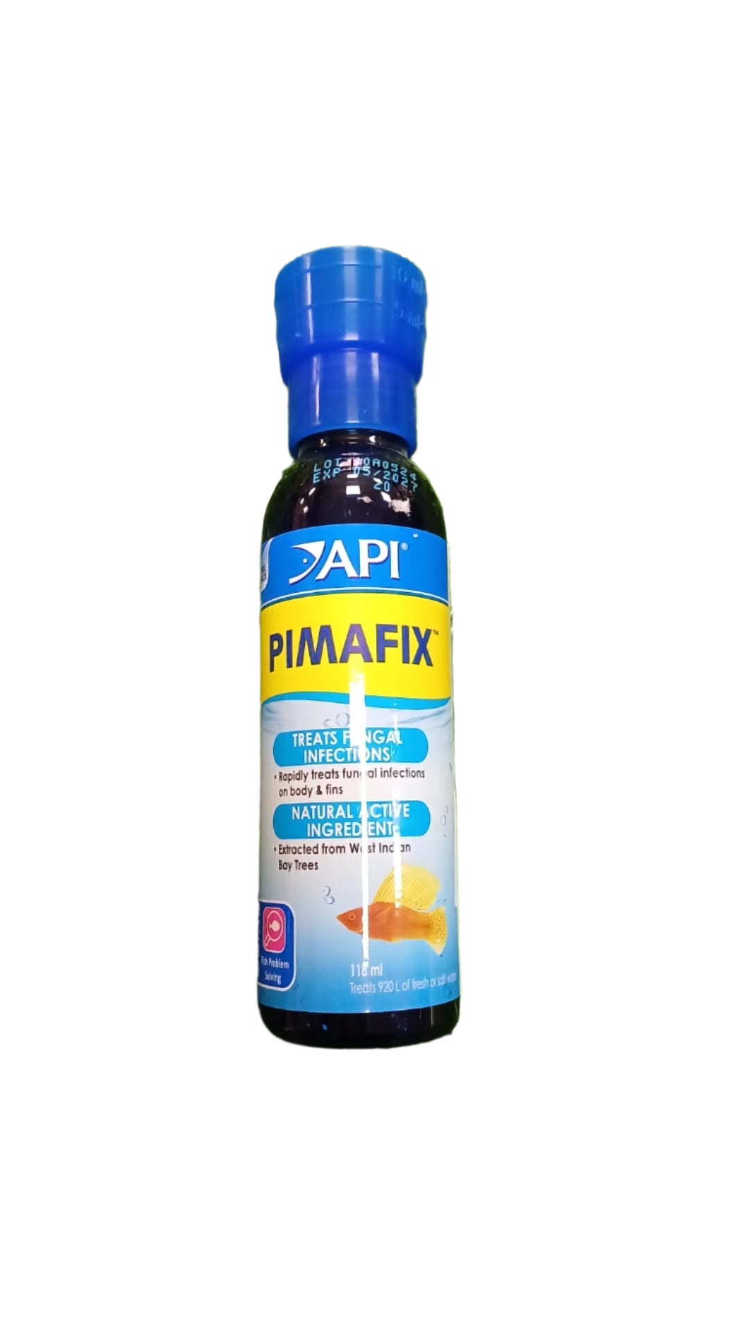 Natural Remedy for Fish Fungal Infections