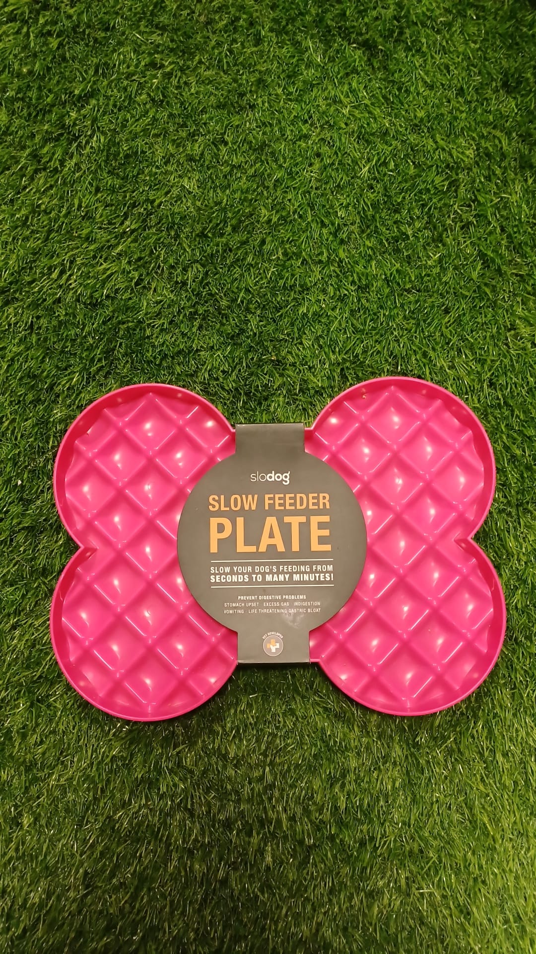 SloDog Slow Feeder Plate