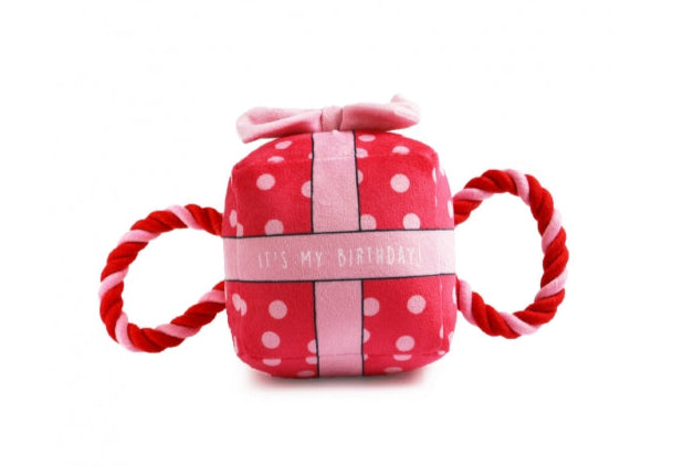 Its My Birthday Present Dog Toy