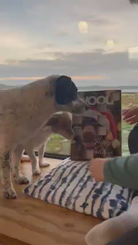 Woolf Dog Advent Calendar