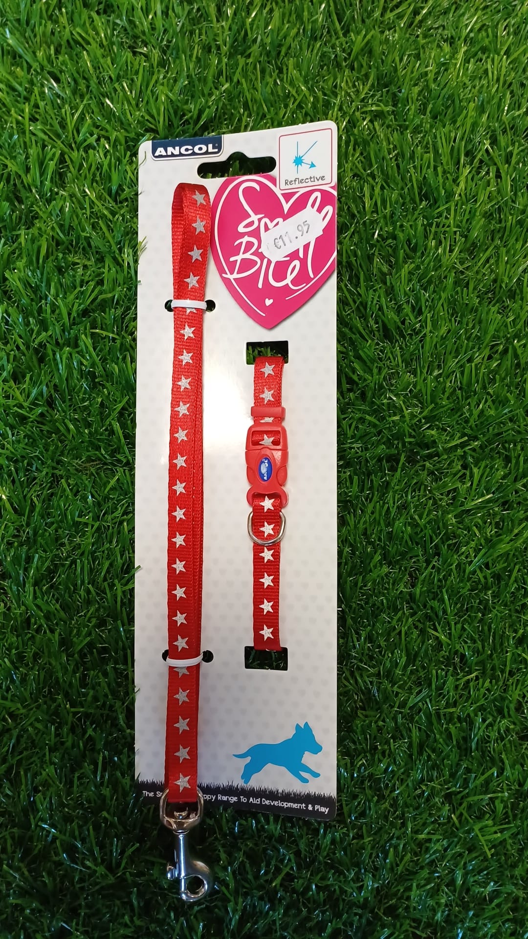 Matching Stars Collar & Lead