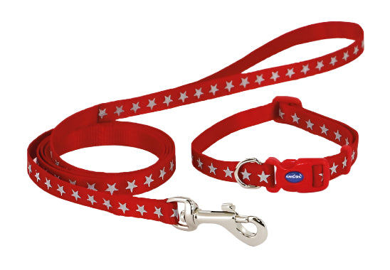 Matching Stars Collar & Lead