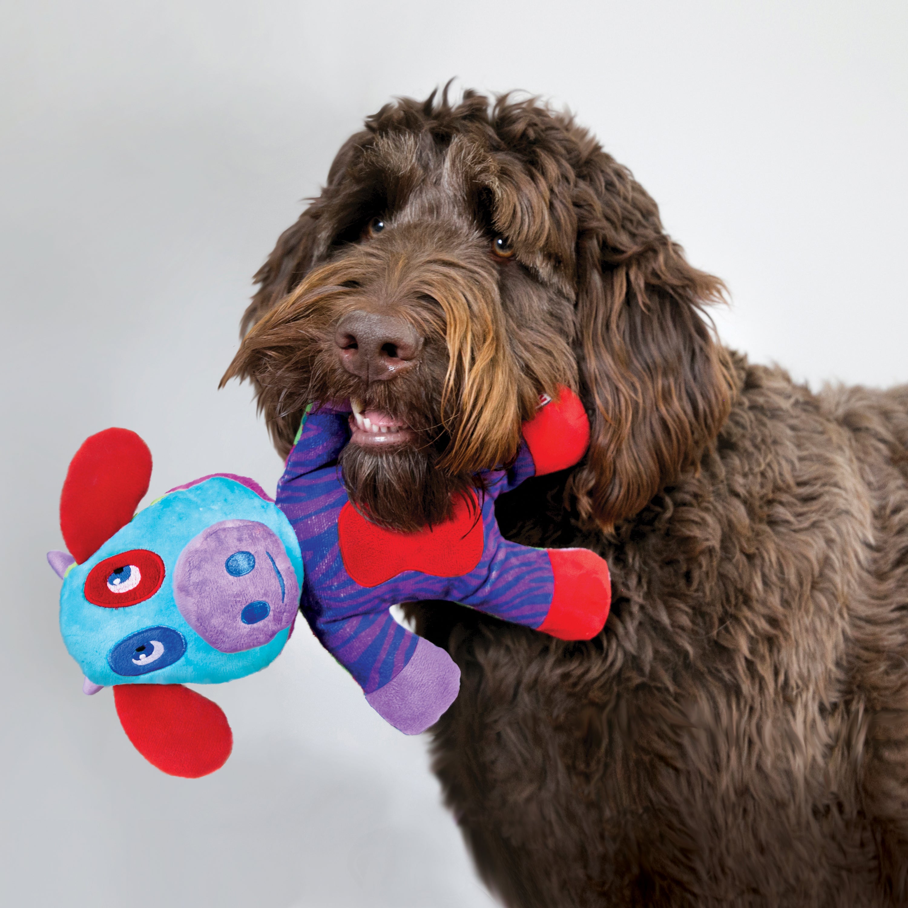 Kong Switcheroo Dog Toy