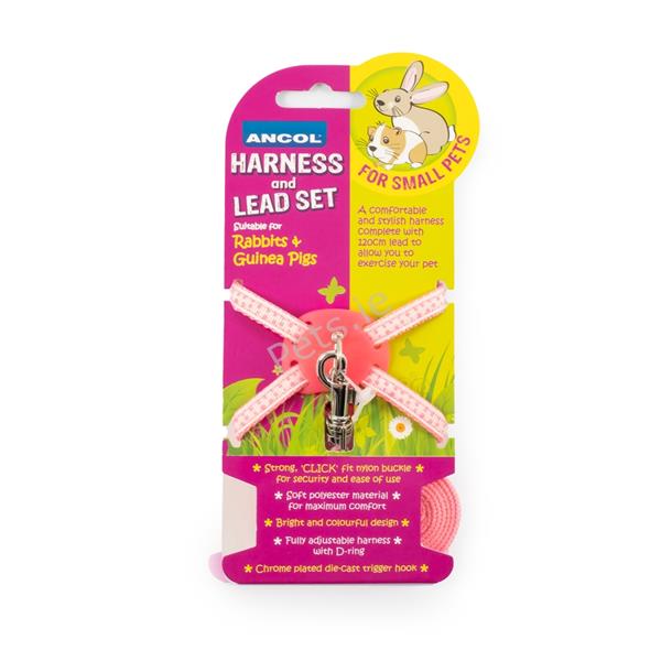 Harness and Lead Set for Small Pets