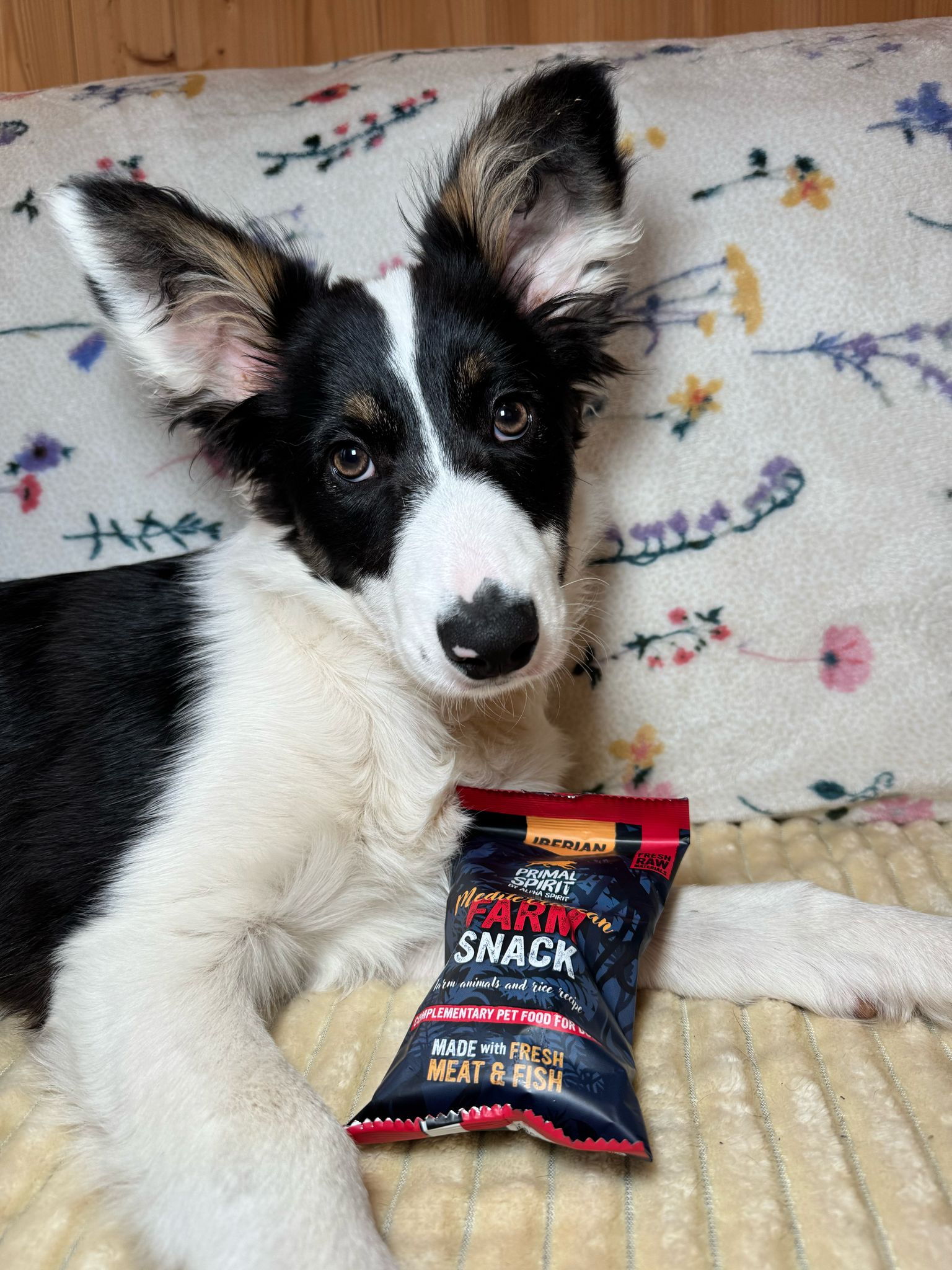 Primal Spirit Mediterranean  Fam Dog Treats