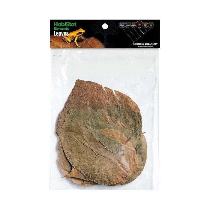 HabiStat Elements 10Pack Dadap Leaves