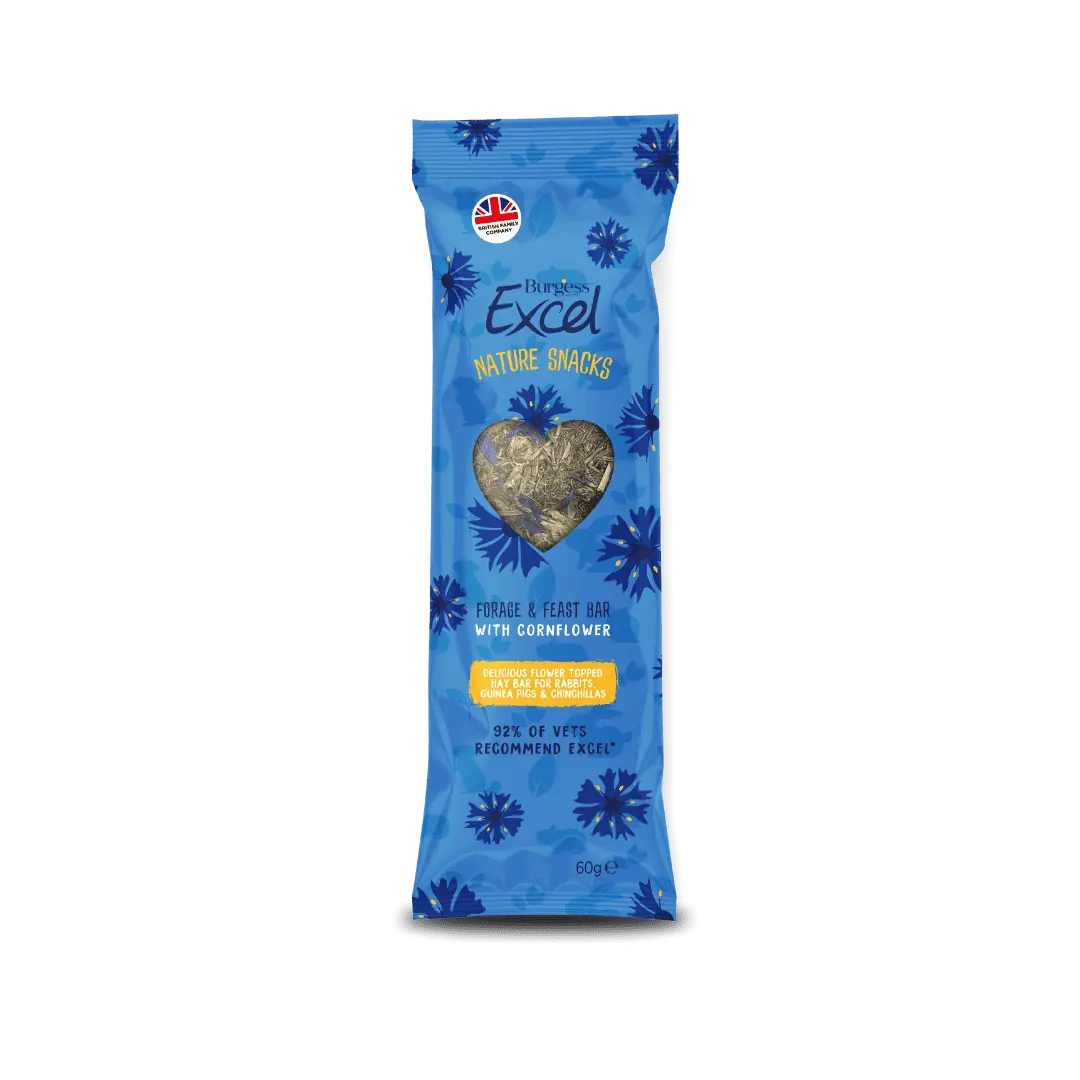 Nature Snacks Forage & Feast Bar with Cornflour