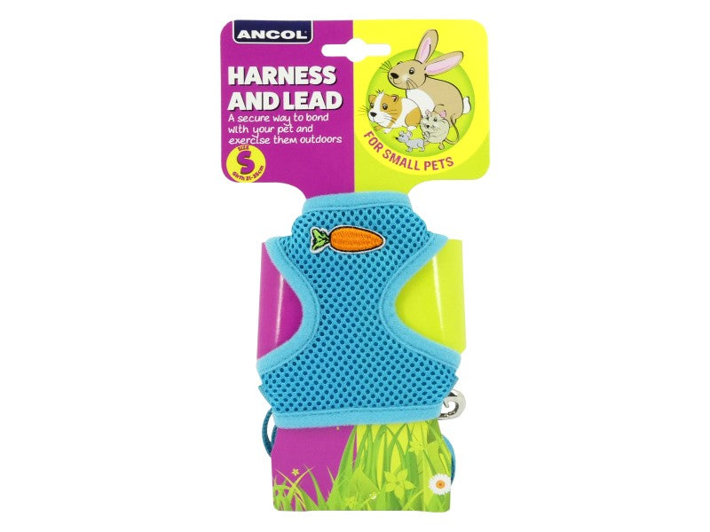 Ancol Harness and Lead Set for Small Pets