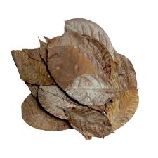 HabiStat Elements 10Pack Rubber Leaves