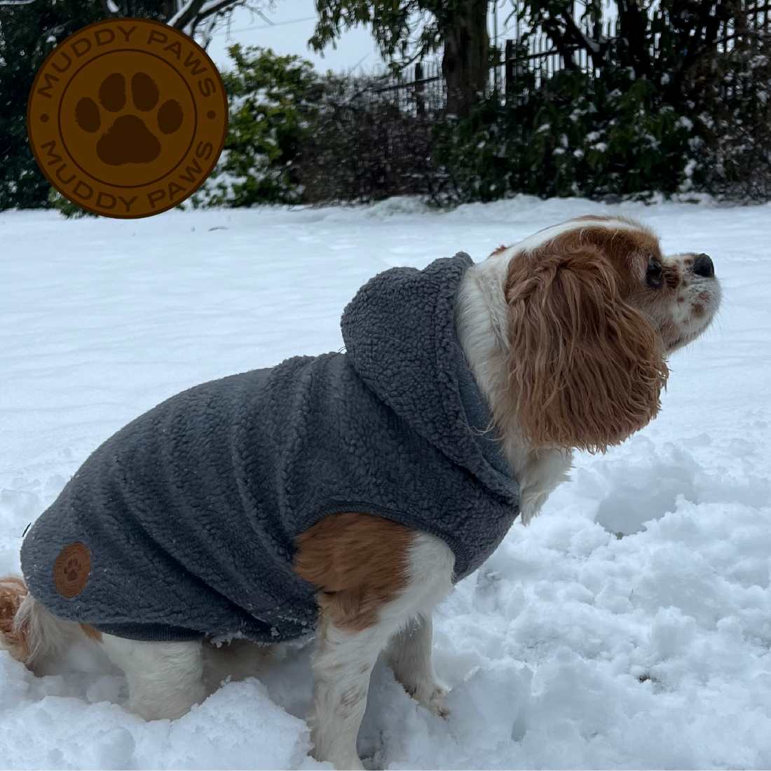 Ancol Teddy Sherpa Fleece Dog Hoodie - XS 25Cm