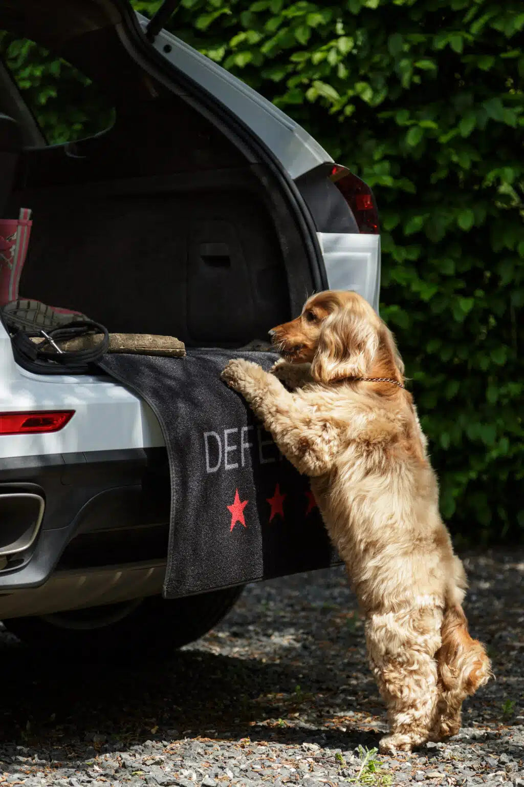Car Boot Protection by Defender