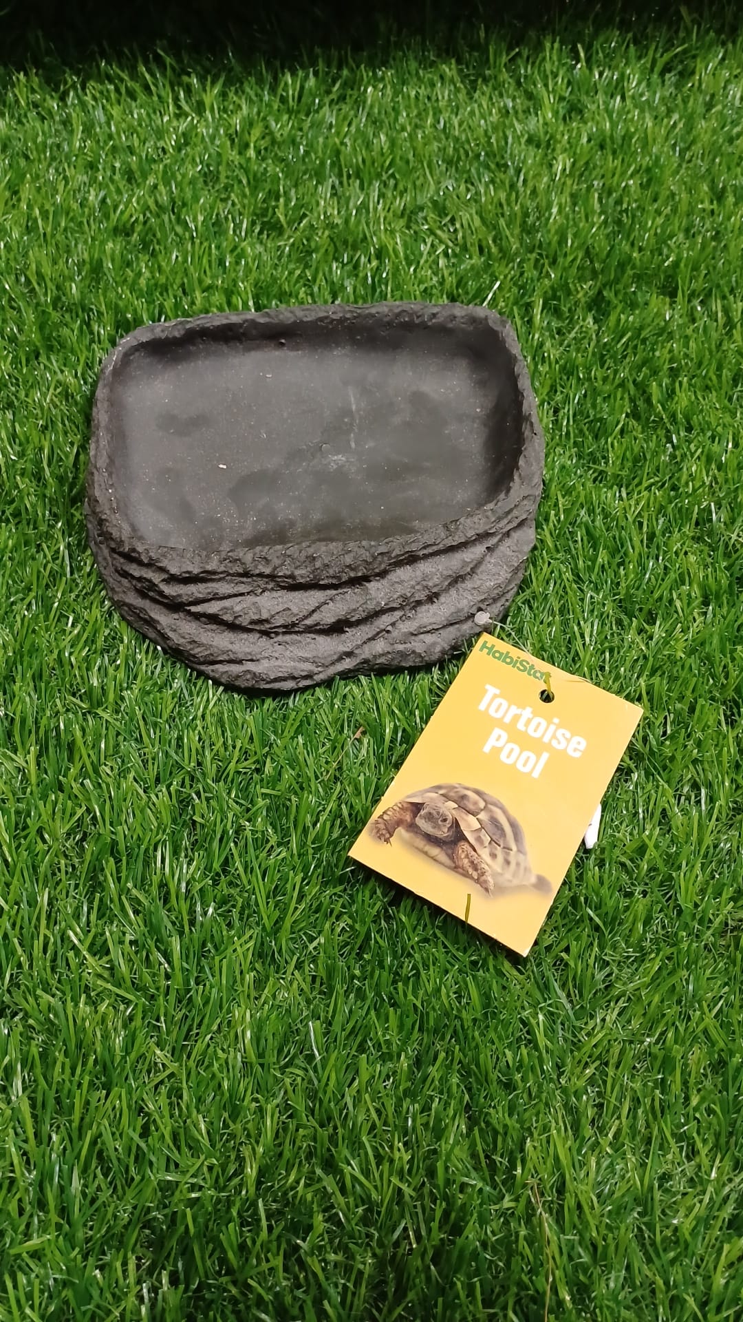 Tortoise Pool by HabiStat