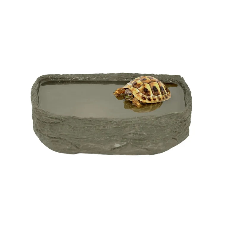 Tortoise Pool by HabiStat