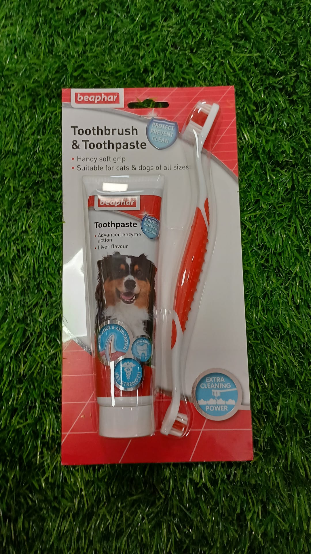 Toothbrush & Toothpaste for dogs and cats
