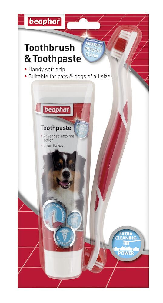 Toothbrush & Toothpaste for dogs and cats